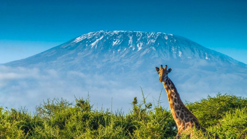 Cea mai buna oferta de la Air France: bilet avion Bucuresti - Kilimanjaro by Perfect Tour