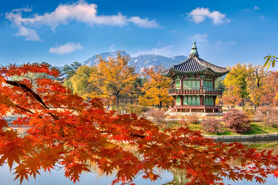 Tarife speciale EARLYBIRD de la Turkish Airlines: bilet avion Bucuresti - Seoul by Perfect Tour