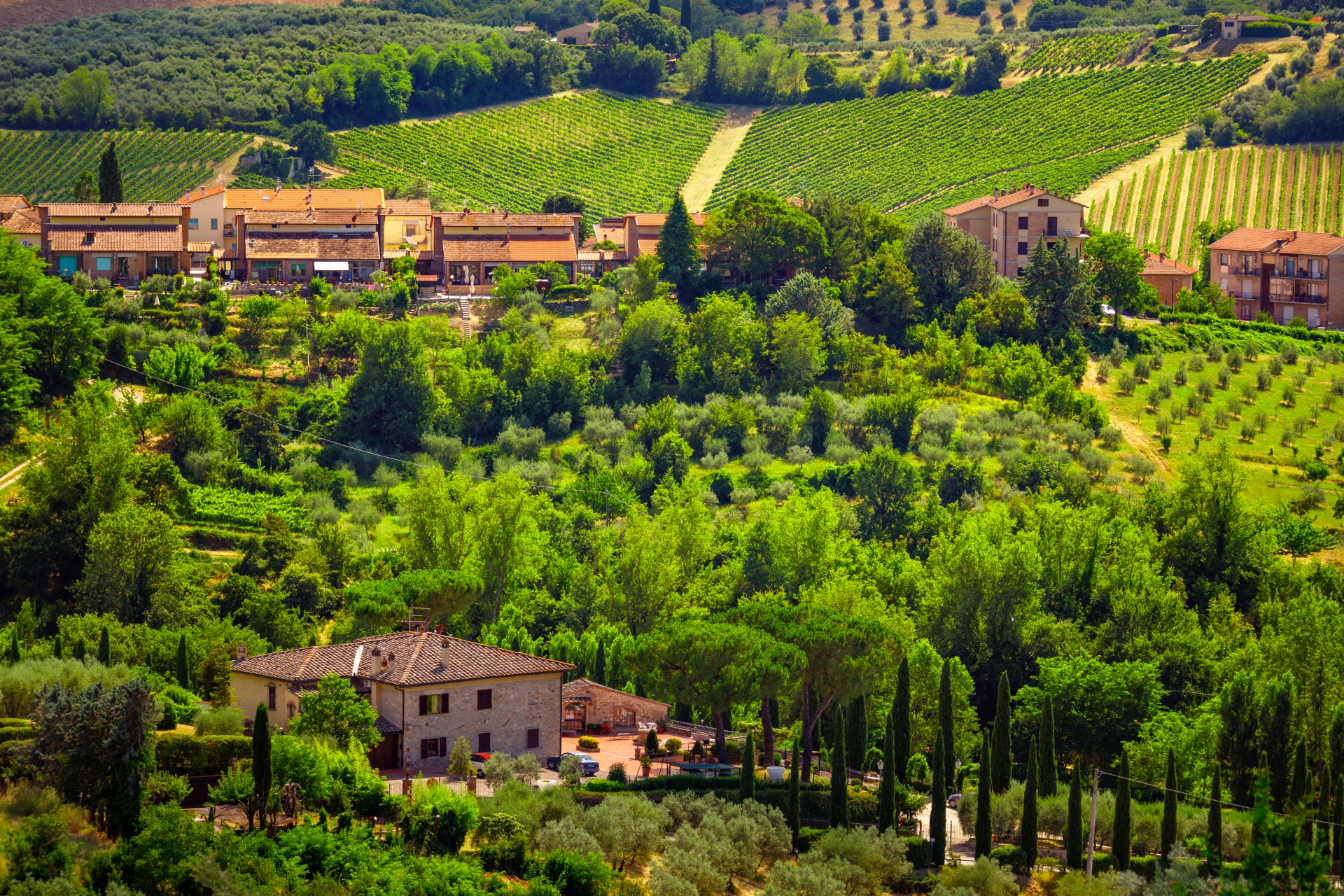 Chianti Wine & Food Safari - plecare din Florenta by Perfect Tour