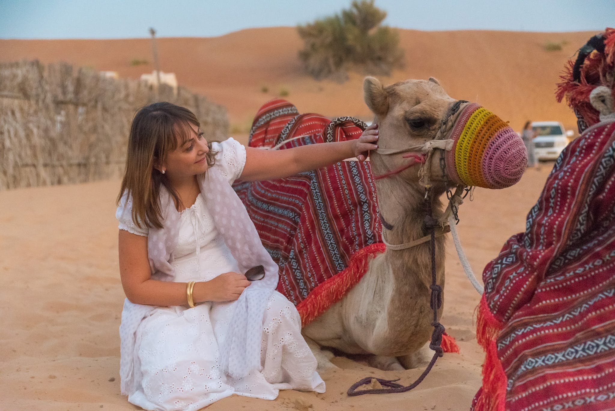 Safari în deșert în Dubai cu cină la grătar și șofer local by Perfect Tour