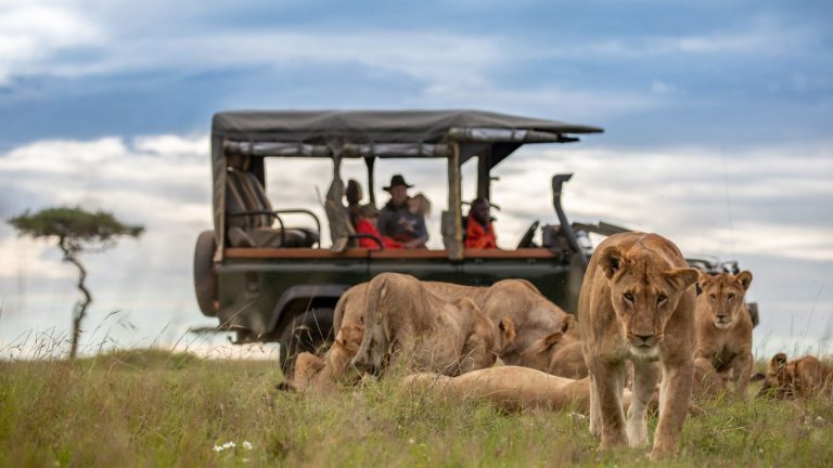 Kenya, safari & plajă - Small Group (9 zile / 6 nopți)