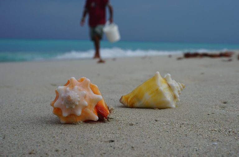 PROMO Sejur plajă Varadero, Cuba (9 zile / 7 nopți)